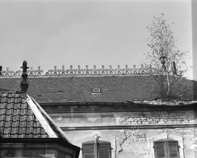 Vue de la crête du toit du logis. © Yves Sancey / Région Bourgogne-Franche-Comté, Inventaire du patrimoine - 1986