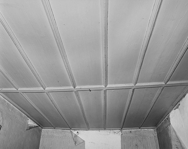 Plafond d'une pièce au premier étage du premier corps de bâtiment. © Jérôme Mongreville / Région Bourgogne-Franche-Comté, Inventaire du patrimoine - 1987