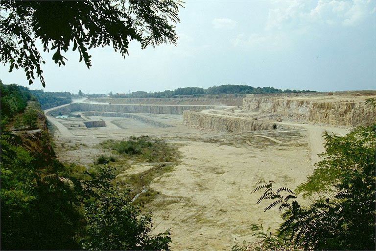 Vue d'ensemble de la carrière depuis l'est. © Yves Sancey / Région Bourgogne-Franche-Comté, Inventaire du patrimoine - 1989 Vue d'ensemble de la carrière depuis l'est. © Yves Sancey / Région Bourgogne-Franche-Comté, Inventaire du patrimoine - 1989