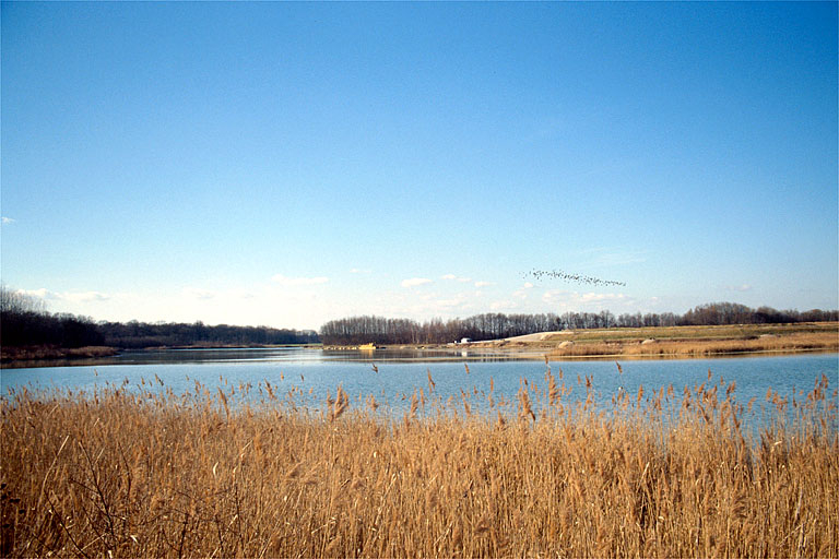 Etang de l'Aillon vu de l'est. © Laurent Poupard / Région Bourgogne-Franche-Comté, Inventaire du patrimoine - 1990 Etang de l'Aillon vu de l'est. © Laurent Poupard / Région Bourgogne-Franche-Comté, Inventaire du patrimoine - 1990
