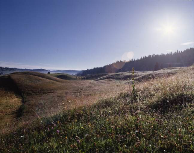 Paysage de combes. © Jérôme Mongreville / Région Bourgogne-Franche-Comté, Inventaire du patrimoine - 1994