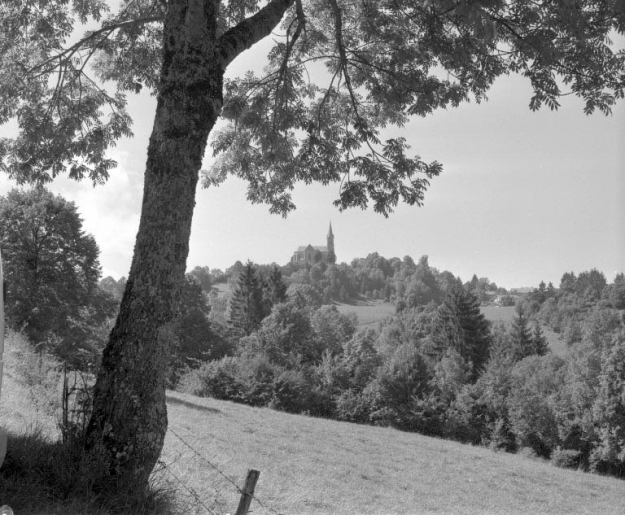 Extérieur : vue depuis la route de Vulvoz à Choux. © Yves Sancey / Région Bourgogne-Franche-Comté, Inventaire du patrimoine - 1994 Extérieur : vue depuis la route de Vulvoz à Choux. © Yves Sancey / Région Bourgogne-Franche-Comté, Inventaire du patrimoine - 1994