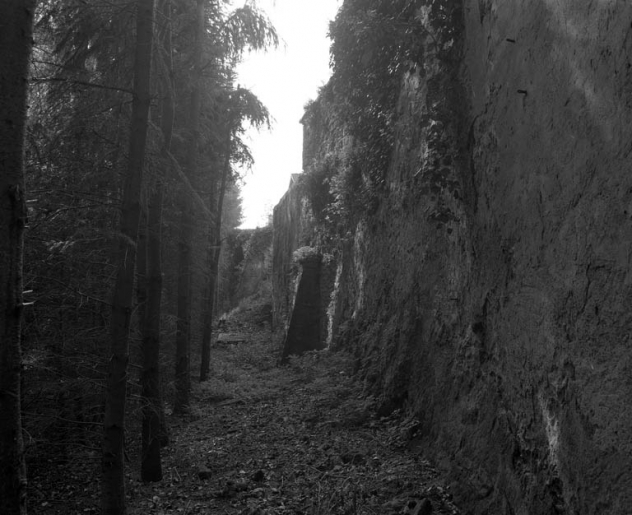 Restes du rempart du bastion de la Visitation (derrière la rue Cécile) : vue d'ensemble de trois quarts droit. © Yves Sancey / Région Bourgogne-Franche-Comté, Inventaire du patrimoine - 1994 Restes du rempart du bastion de la Visitation (derrière la rue Cécile) : vue d'ensemble de trois quarts droit. © Yves Sancey / Région Bourgogne-Franche-Comté, Inventaire du patrimoine - 1994