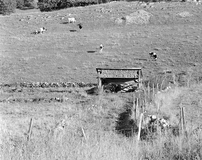 Abreuvoir à Petite Joux. © Jérôme Mongreville / Région Bourgogne-Franche-Comté, Inventaire du patrimoine - 1996