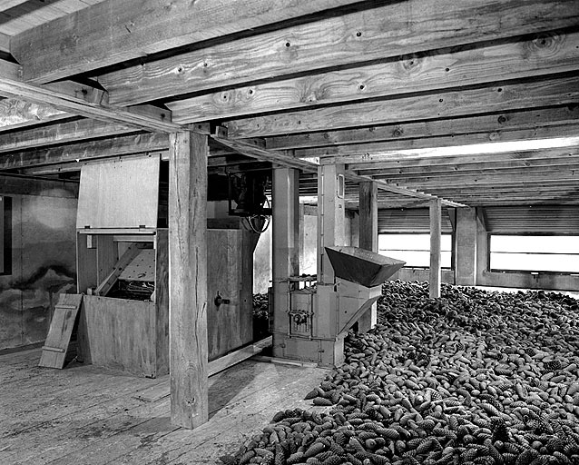 De gauche à droite : batteur, élévateur à godets et aire de séchage des cônes de résineux. © Jérôme Mongreville / Région Bourgogne-Franche-Comté, Inventaire du patrimoine - 1997