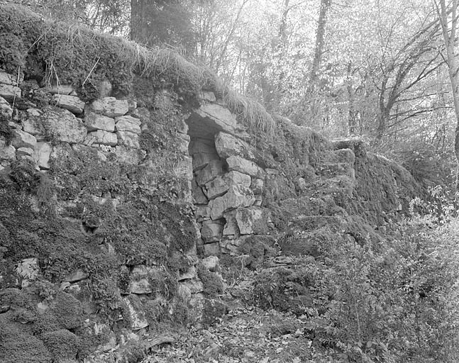 Anciens murs soutenant des terrasses cultivées, au lieu-dit Sous les Vignes. © Jérôme Mongreville / Région Bourgogne-Franche-Comté, Inventaire du patrimoine - 1997