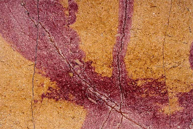 Echantillon de marbre de Sampans (carrière des Chevanny). © Yves Sancey / Région Bourgogne-Franche-Comté, Inventaire du patrimoine - 1997