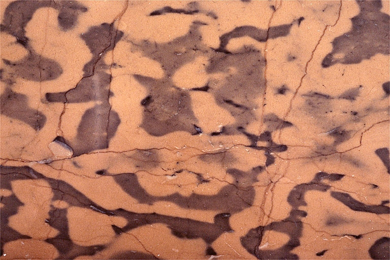 Echantillon de marbre de Mignovillard. © Yves Sancey / Région Bourgogne-Franche-Comté, Inventaire du patrimoine - 1997