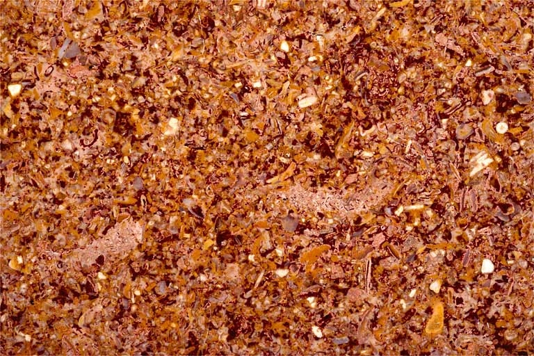 Echantillon de marbre de Chanelet. © Yves Sancey / Région Bourgogne-Franche-Comté, Inventaire du patrimoine - 1997