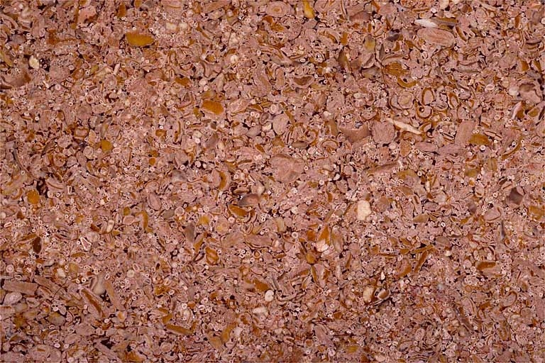 Echantillon de marbre d'Audelange. © Yves Sancey / Région Bourgogne-Franche-Comté, Inventaire du patrimoine - 1997