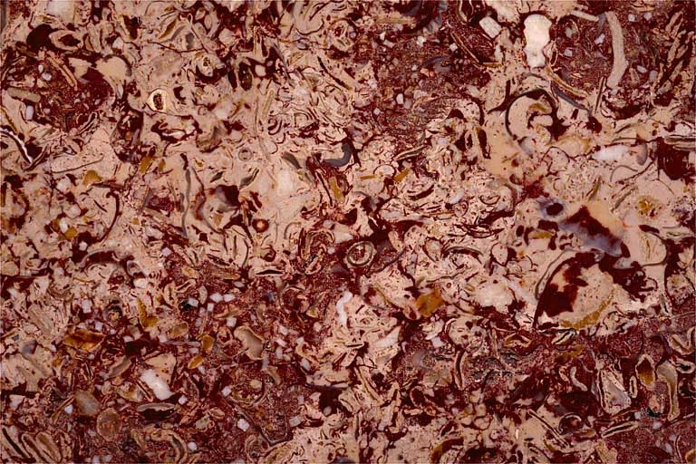 Echantillon de marbre de Cousance dit Granit rouge. © Yves Sancey / Région Bourgogne-Franche-Comté, Inventaire du patrimoine - 1997