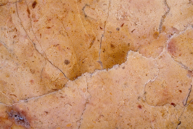 Carrière de Marignat, commune de Chassal : échantillon de marbre. © Yves Sancey / Région Bourgogne-Franche-Comté, Inventaire du patrimoine - 1997