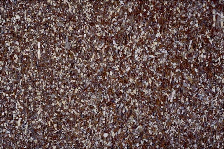 Echantillon de marbre dit Gris du Jura. © Yves Sancey / Région Bourgogne-Franche-Comté, Inventaire du patrimoine - 1998