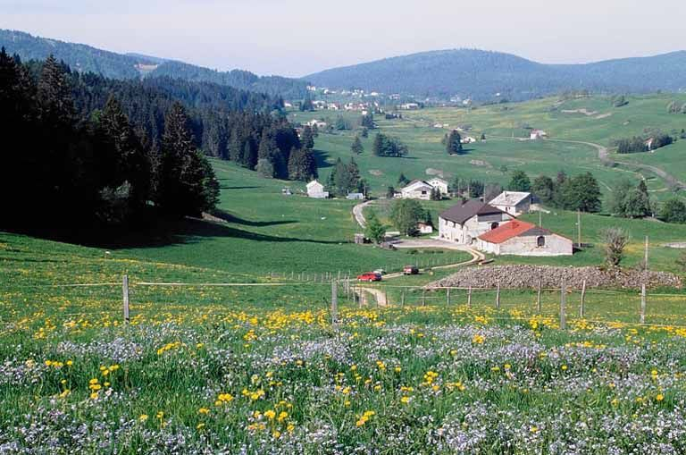 Paysage de combe sur la commune des Rousses. © Yves Sancey / Région Bourgogne-Franche-Comté, Inventaire du patrimoine - 1999