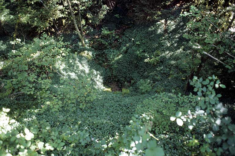 Vue d'ensemble plongeante sur la tête amont (est), depuis la voie. © Yves Sancey / Région Bourgogne-Franche-Comté, Inventaire du patrimoine - 2005