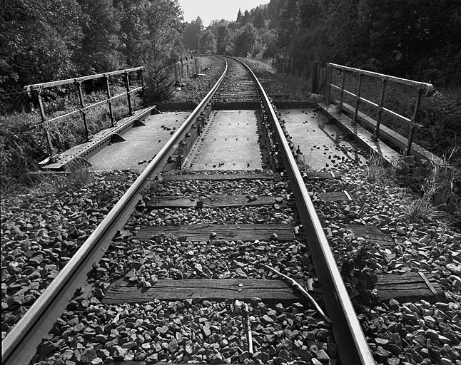 Vue d'ensemble, depuis la voie côté Andelot-en-Montagne (nord-est). © Yves Sancey / Région Bourgogne-Franche-Comté, Inventaire du patrimoine - 2005