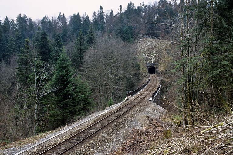 Vue d'ensemble, depuis le nord-ouest (côté Andelot-en-Montagne). © Yves Sancey / Région Bourgogne-Franche-Comté, Inventaire du patrimoine - 2005