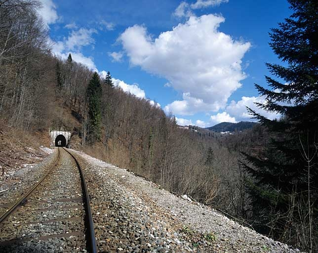 Tunnel du Grépillon : vue d'ensemble, côté La Cluse (sud). © Yves Sancey / Région Bourgogne-Franche-Comté, Inventaire du patrimoine - 2005