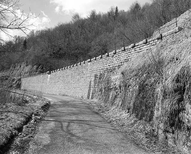 Mur de soutènement de la voie : vue d'ensemble, de trois quarts droite (est). © Yves Sancey / Région Bourgogne-Franche-Comté, Inventaire du patrimoine - 2005 Mur de soutènement de la voie : vue d'ensemble, de trois quarts droite (est). © Yves Sancey / Région Bourgogne-Franche-Comté, Inventaire du patrimoine - 2005