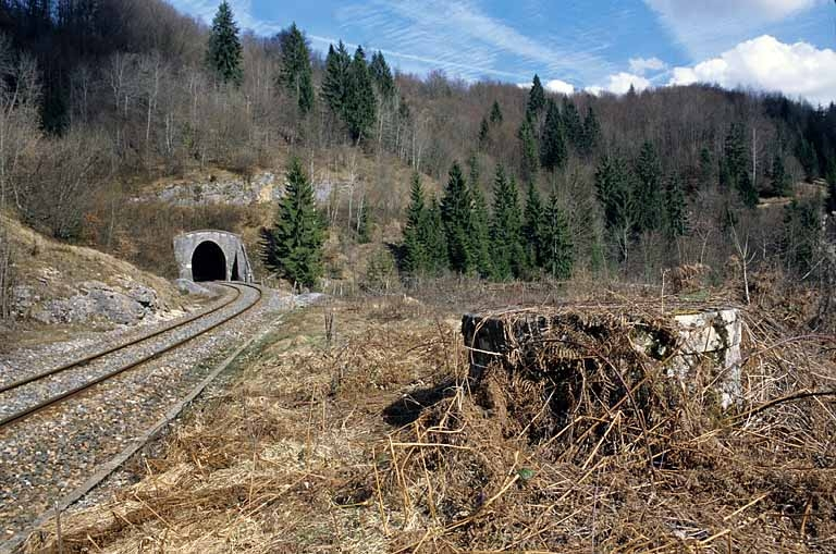 Au premier plan, puits de la maison de garde-barrière n° 42 (détruite). © Yves Sancey / Région Bourgogne-Franche-Comté, Inventaire du patrimoine - 2005