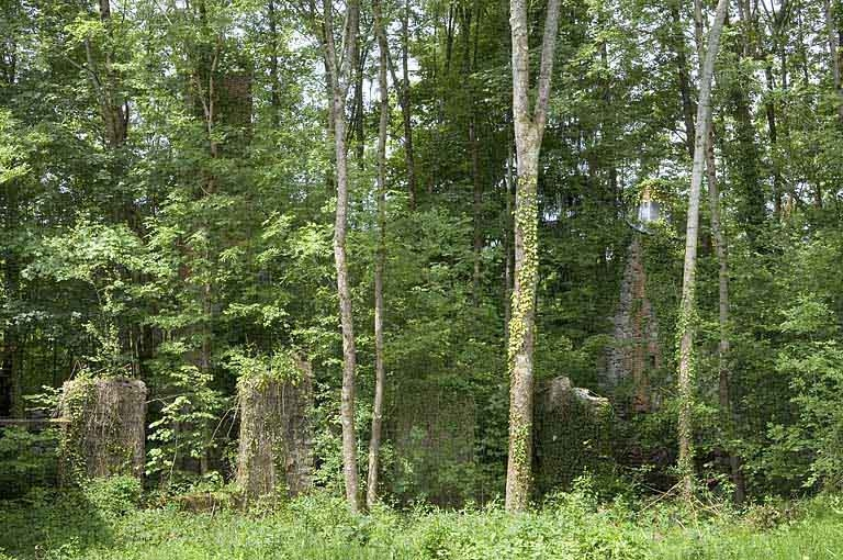 Vestiges de l'atelier de papeterie envahis par la végétation. © Jérôme Mongreville / Région Bourgogne-Franche-Comté, Inventaire du patrimoine - 2006