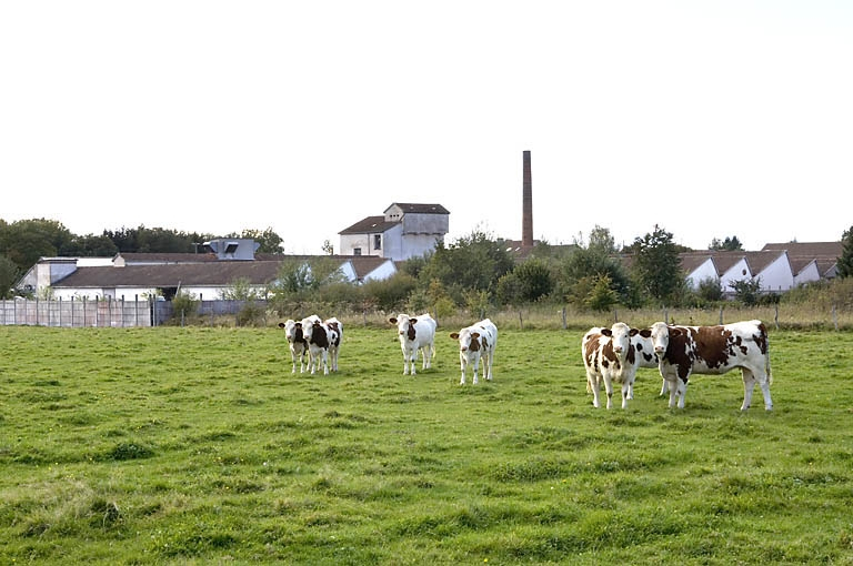 Vue d'ensemble depuis l'est. © Jérôme Mongreville / Région Bourgogne-Franche-Comté, Inventaire du patrimoine - 2007 Vue d'ensemble depuis l'est. © Jérôme Mongreville / Région Bourgogne-Franche-Comté, Inventaire du patrimoine - 2007