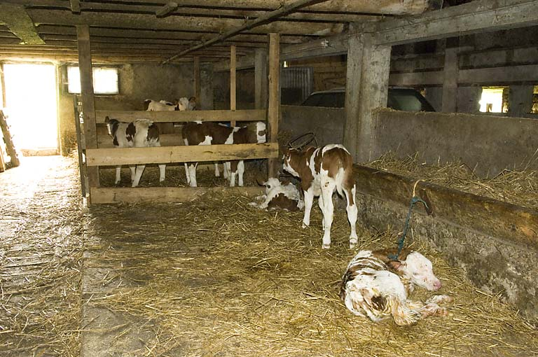 ferme © Jérôme Mongreville / Région Bourgogne-Franche-Comté, Inventaire du patrimoine - 2008