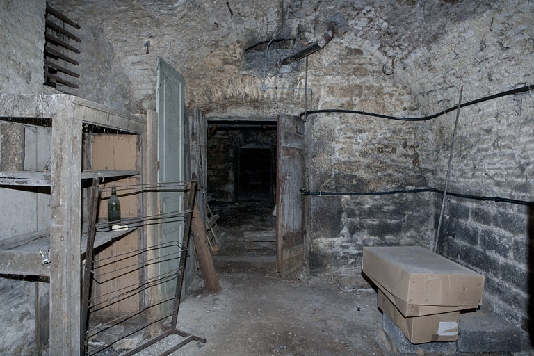 Logis principal, sous-sol : cave A, vue en direction de la porte d'entrée. © Yves Sancey / Région Bourgogne-Franche-Comté, Inventaire du patrimoine - 2011