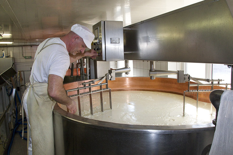 Fabrication du comté : examen du tranchage du caillé dans la deuxième cuve. © Yves Sancey / Région Bourgogne-Franche-Comté, Inventaire du patrimoine - 2013
