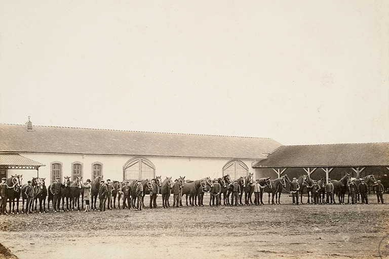 Chevaux de trait – La visite sanitaire. © Jérôme Mongreville / Région Bourgogne-Franche-Comté, Inventaire du patrimoine - 2013