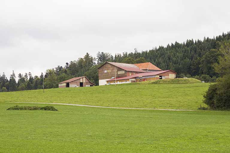 Vue d'ensemble rapprochée, depuis le nord-ouest. © Yves Sancey / Région Bourgogne-Franche-Comté, Inventaire du patrimoine - 2013