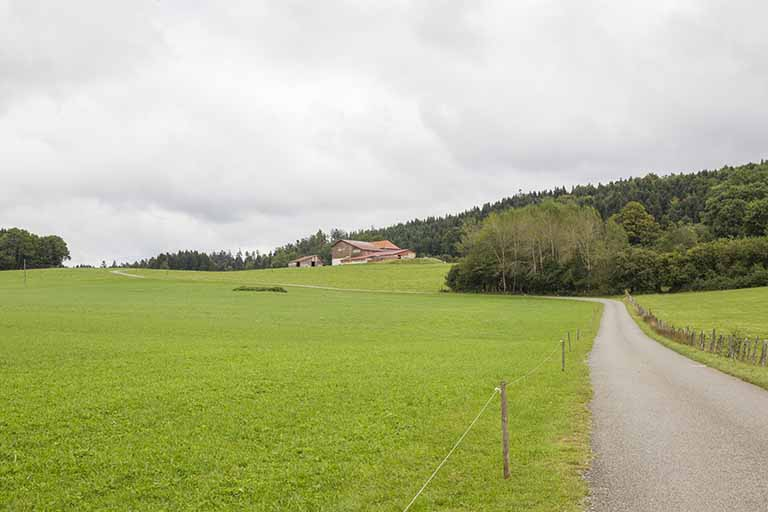 Vue d'ensemble, depuis la route d'accès au nord. © Yves Sancey / Région Bourgogne-Franche-Comté, Inventaire du patrimoine - 2013