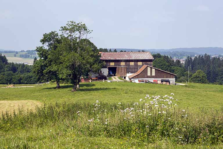 Vue d'ensemble rapprochée, depuis l'est. © Yves Sancey / Région Bourgogne-Franche-Comté, Inventaire du patrimoine - 2013