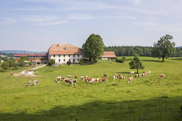 Ferme et atelier d'échappements à cylindre et de boîtes de montre Bourgeois, à Damprichard. © Yves Sancey / Région Bourgogne-Franche-Comté, Inventaire du patrimoine - 2013