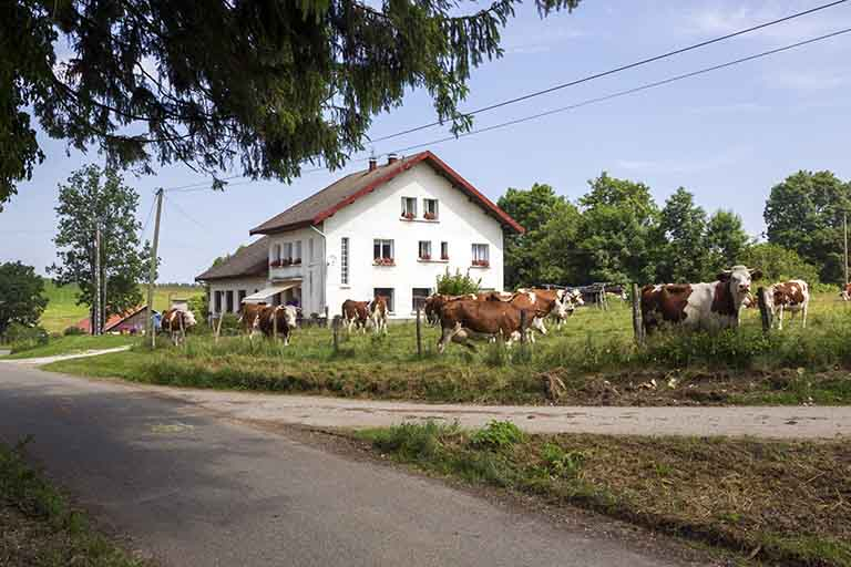 Vue d'ensemble, depuis le sud. © Yves Sancey / Région Bourgogne-Franche-Comté, Inventaire du patrimoine - 2013
