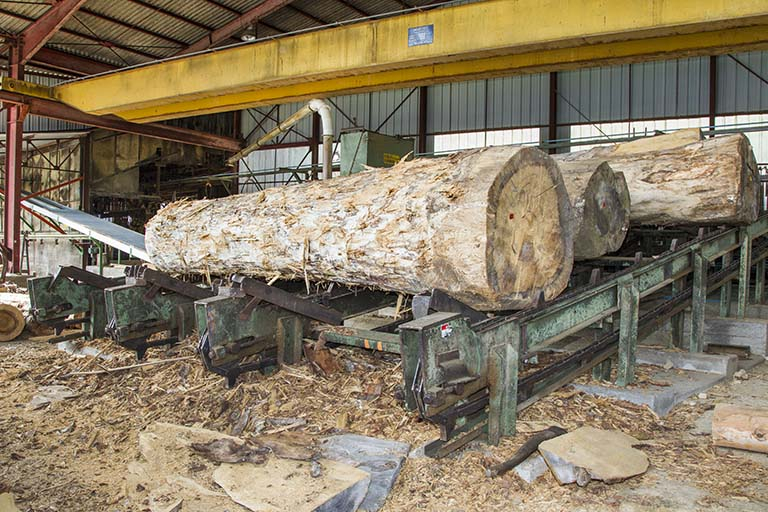 Atelier de fabrication de 1980-1982 : chariot à grumes alimentant la scie Gillet et Vigneau. © Yves Sancey / Région Bourgogne-Franche-Comté, Inventaire du patrimoine - 2013