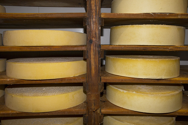 Pièce d'affinage : meules de comté (à gauche) et de gruyère (à droite). © Yves Sancey / Région Bourgogne-Franche-Comté, Inventaire du patrimoine - 2013
