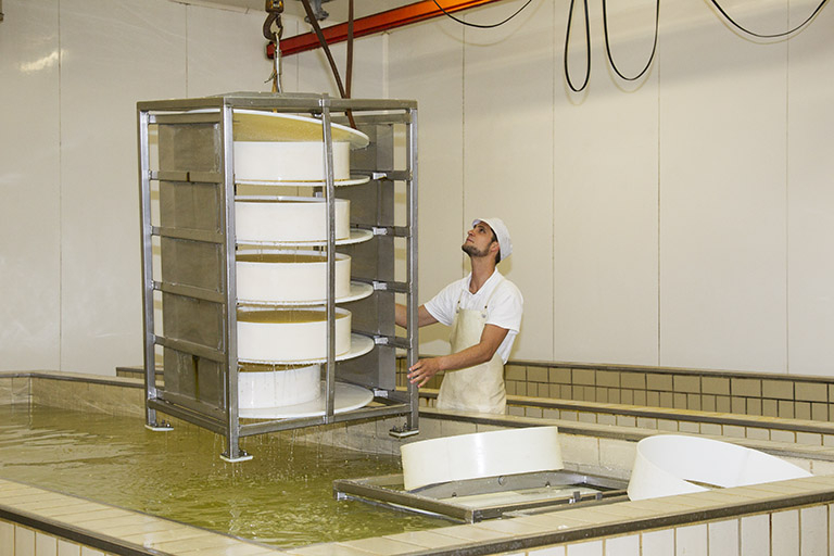 Placement de meules de fromage dans une cuve à saumure. © Yves Sancey / Région Bourgogne-Franche-Comté, Inventaire du patrimoine - 2013