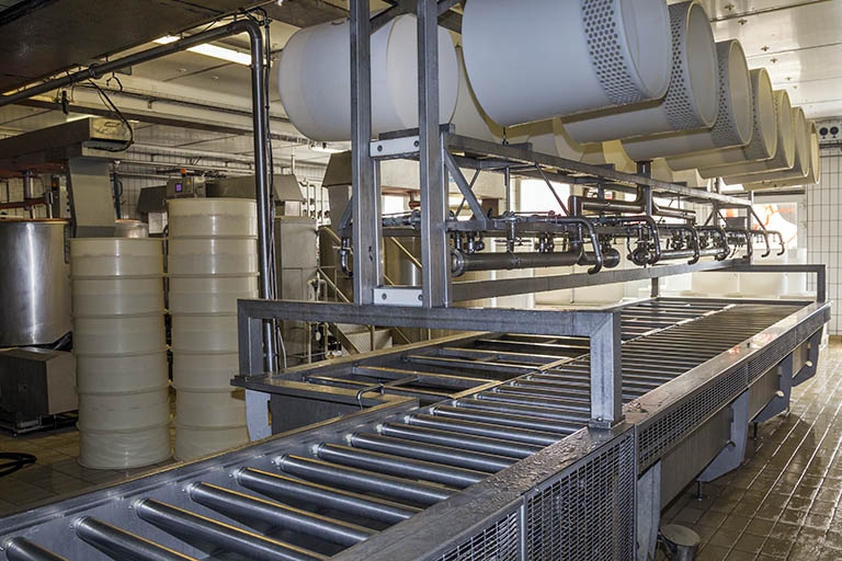 Installation de soutirage par pompe à caillé : le répartiteur. Au premier plan, le convoyeur permettant le transfert des moules sous l'installation de pressage. © Yves Sancey / Région Bourgogne-Franche-Comté, Inventaire du patrimoine - 2013