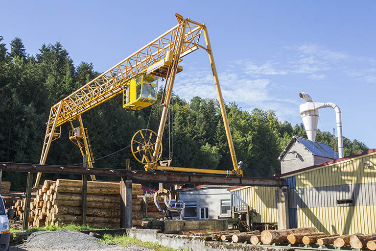 Le portique roulant sur son chemin de roulement. A droite l'atelier de débitage (M). © Yves Sancey / Région Bourgogne-Franche-Comté, Inventaire du patrimoine - 2013