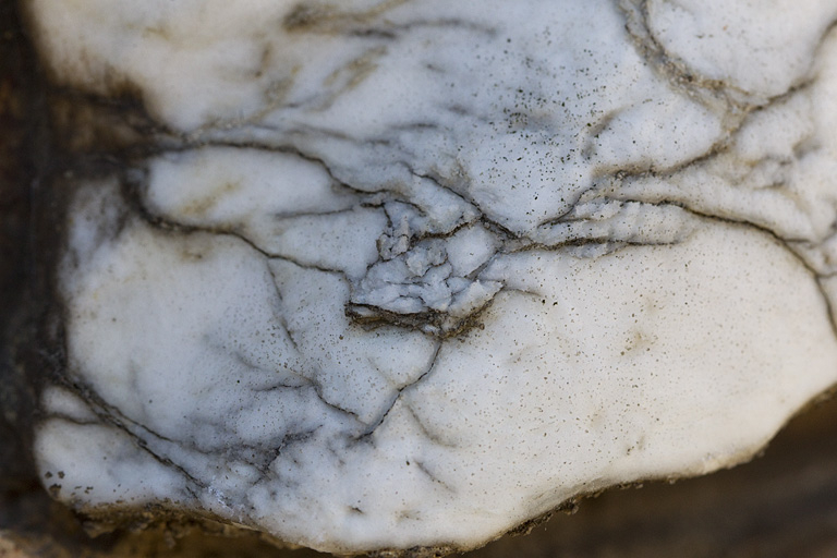 20137000152NUC2A © Yves Sancey / Région Bourgogne-Franche-Comté, Inventaire du patrimoine - 2013 20137000152NUC2A © Yves Sancey / Région Bourgogne-Franche-Comté, Inventaire du patrimoine - 2013