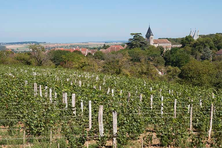 Vignes situées à l'ouest de la commune © Jérôme Mongreville / Région Bourgogne-Franche-Comté, Inventaire du patrimoine - 2013 Vignes situées à l'ouest de la commune © Jérôme Mongreville / Région Bourgogne-Franche-Comté, Inventaire du patrimoine - 2013