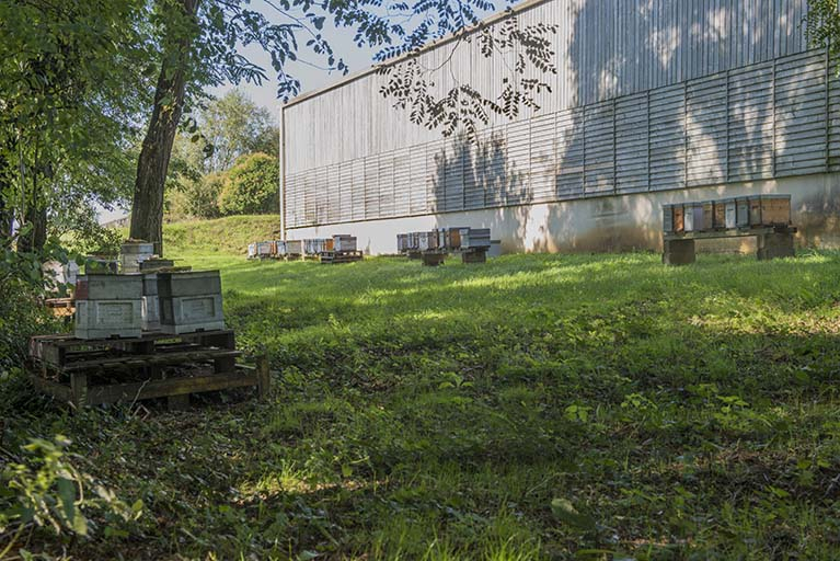 Ruches au sud du hangar à fourrage sud-est. © Mary Ruffinoni / Région Bourgogne-Franche-Comté, Inventaire du patrimoine - 2013