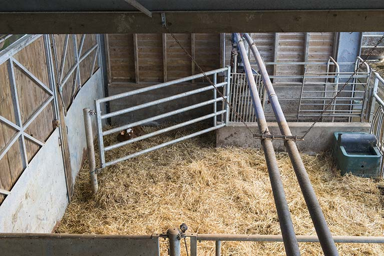 Depuis la plate forme pédagogique du bâtiment de production laitière. © Mary Ruffinoni / Région Bourgogne-Franche-Comté, Inventaire du patrimoine - 2013