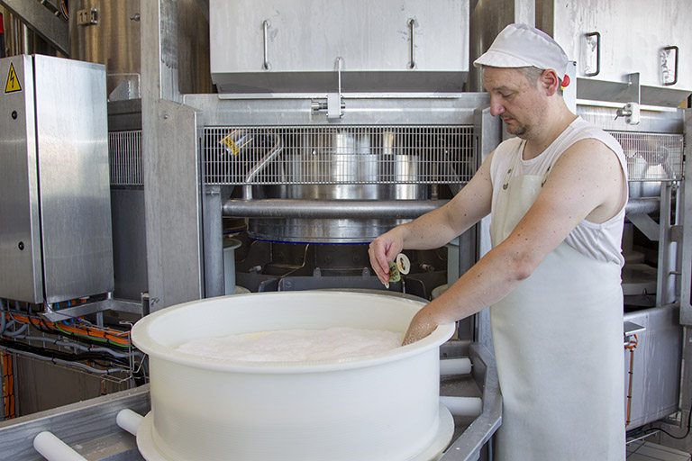 Fabrication : mise en place de la plaque verte (" carte d'identité " de la meule de comté). © Sonia Dourlot / Région Bourgogne-Franche-Comté, Inventaire du patrimoine - 2014