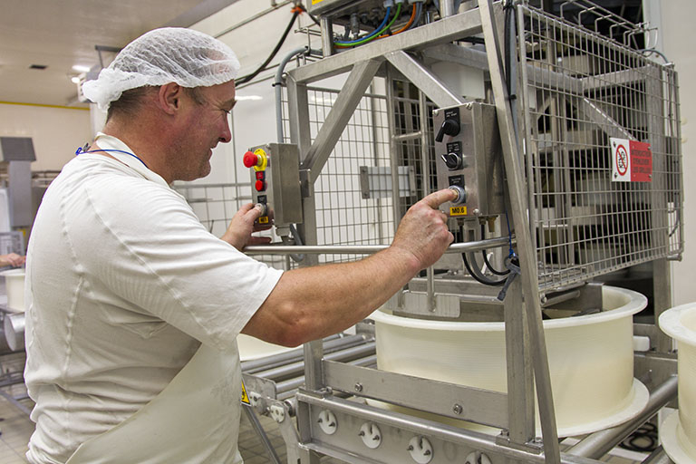 Fabrication du morbier : découpage du pain de caillé dans son moule. © Sonia Dourlot / Région Bourgogne-Franche-Comté, Inventaire du patrimoine - 2014