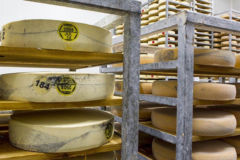 Affinage du morbier : meule avec ses plaques d'identification. La plaque jaune indique l'appellation morbier, le mois et l'année de fabrication, le code du département et le code de la fromagerie ; l'autre plaque donne le jour de fabrication. © Sonia Dourlot / Région Bourgogne-Franche-Comté, Inventaire du patrimoine - 2014