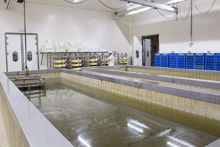 Fabrication : trempage des meules de comté dans le bac à saumure. © Sonia Dourlot / Région Bourgogne-Franche-Comté, Inventaire du patrimoine - 2014