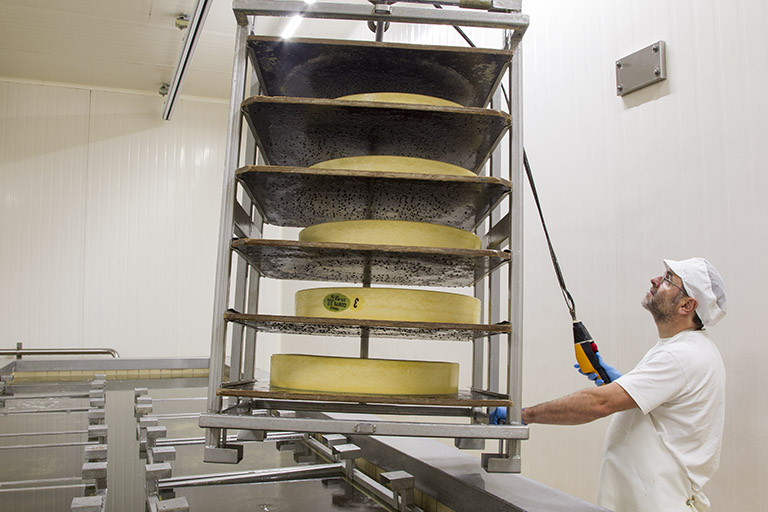 Fabrication : sortie des meules de comté du bac à saumure. © Sonia Dourlot / Région Bourgogne-Franche-Comté, Inventaire du patrimoine - 2014