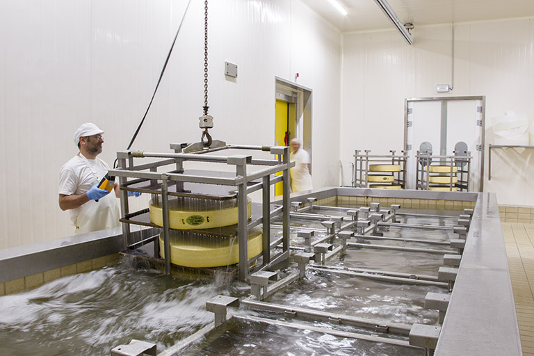 Fabrication : sortie des meules de comté du bac à saumure. © Sonia Dourlot / Région Bourgogne-Franche-Comté, Inventaire du patrimoine - 2014